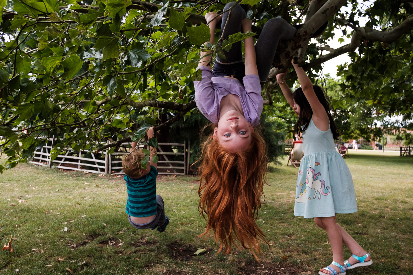 Girl hanging upside down from a tree with hair falling down