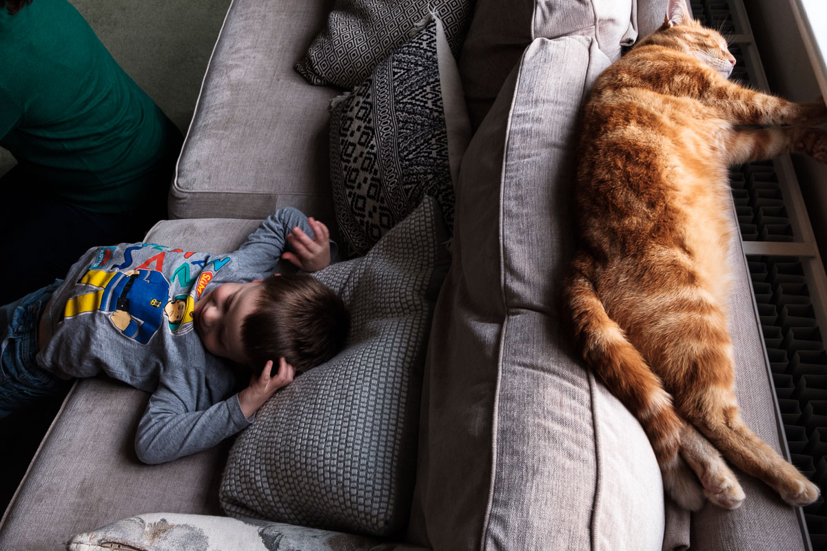 Child laying on sofa with cat.