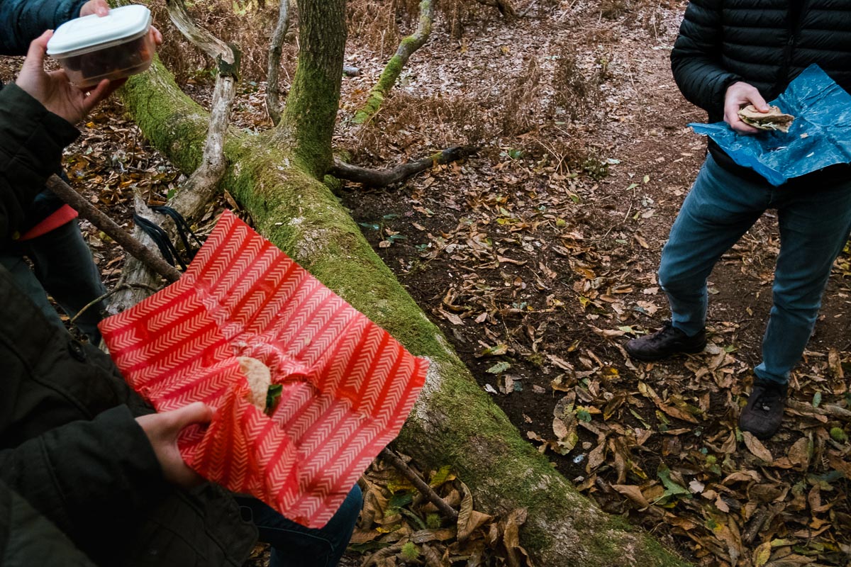 unwrapped picnic lunch held by family group in forest