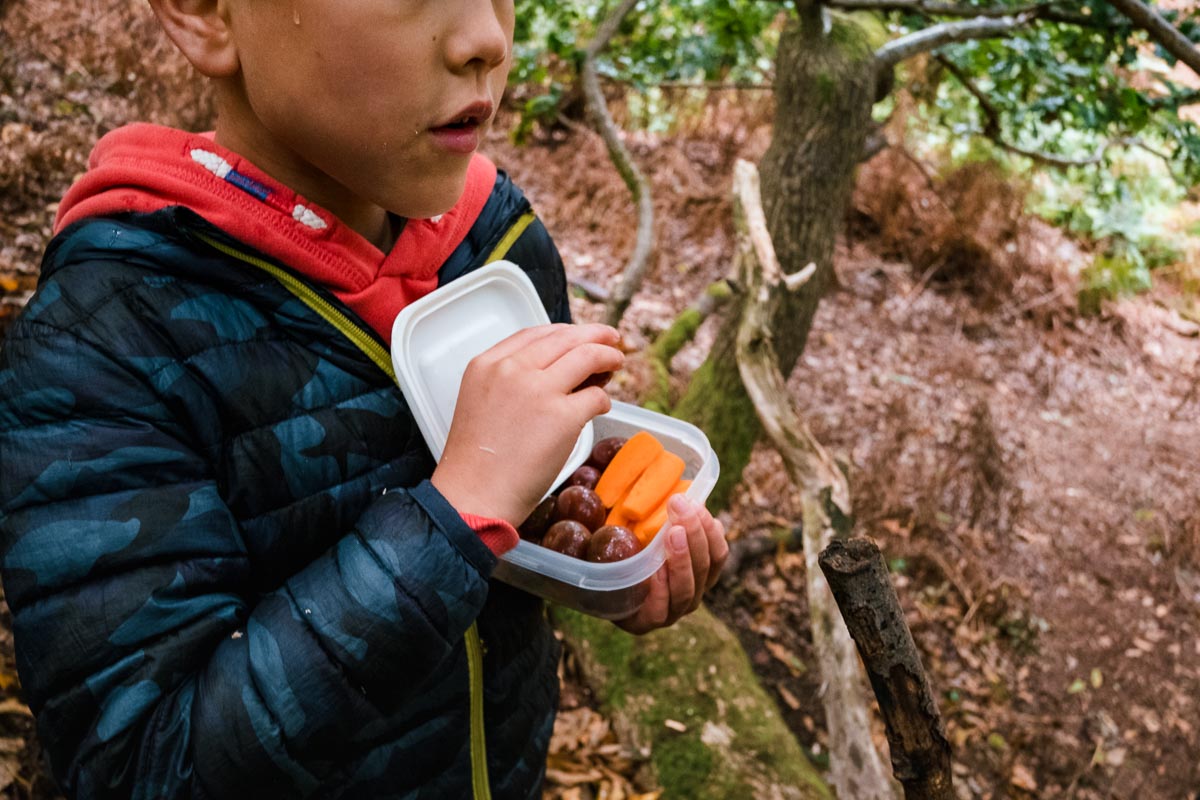 Boy with box of lunch in forest