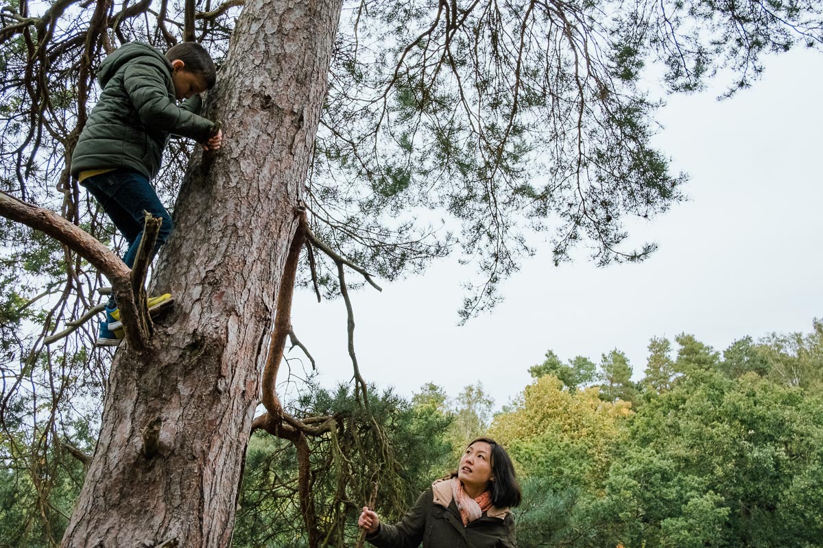 Mother looks up at son in a tree in woods
