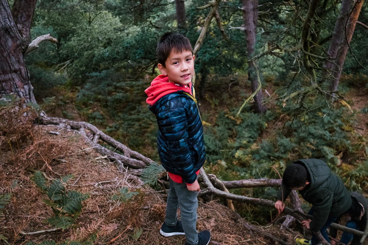 Boy looks at the camera at top of slope in forest