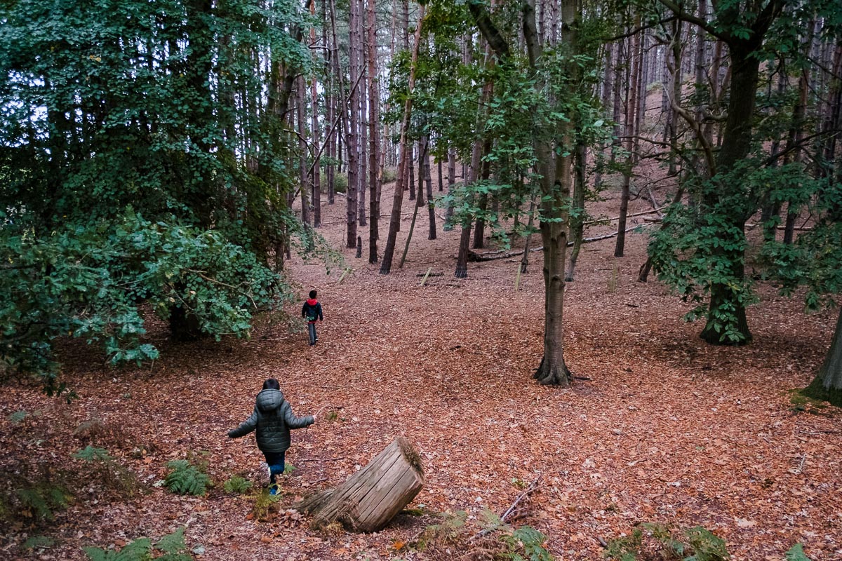 Two boys running into a wooded area