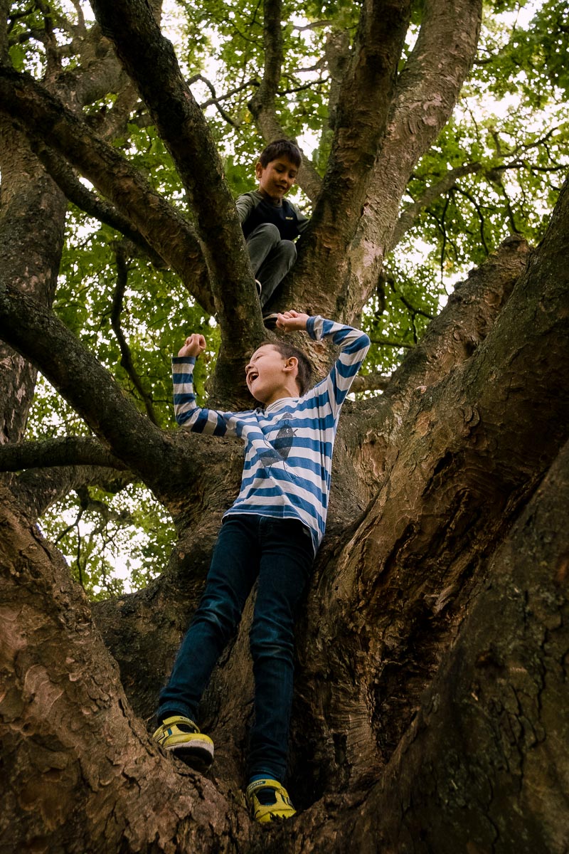 Tow boys climbing tree