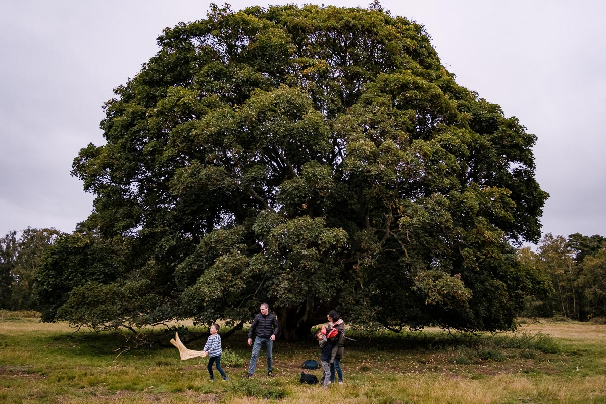 Family underneath large tree in forest clearing