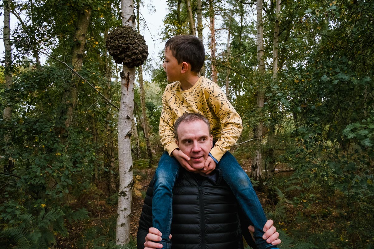Father carries son on shoulders who looks at wasps nest on a tree